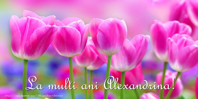 Felicitari de la multi ani - Flori & Lalele | La multi ani Alexandrina!