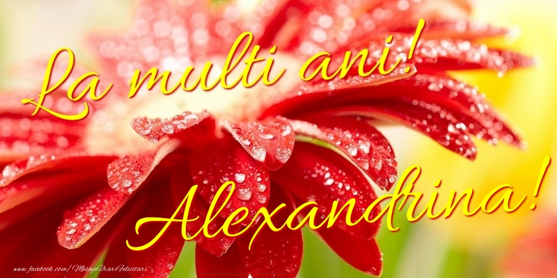 Felicitari de la multi ani - La multi ani! Alexandrina