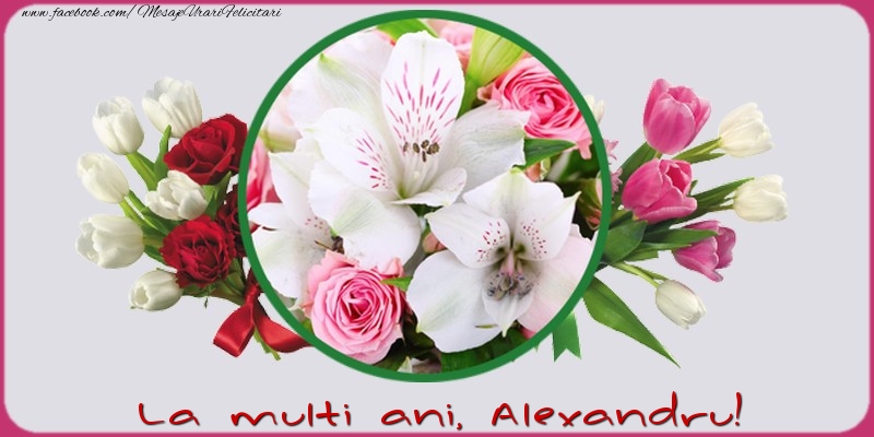 Felicitari de la multi ani - Flori | La multi ani, Alexandru!