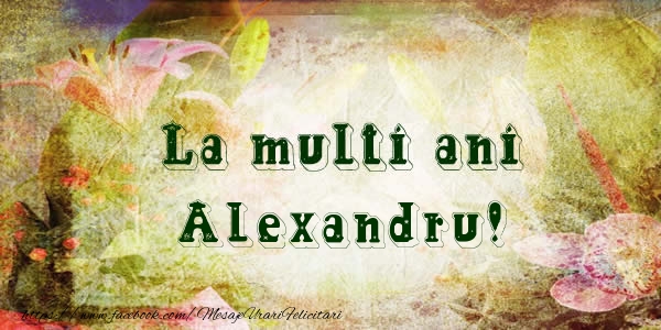 Felicitari de la multi ani - Flori | La multi ani Alexandru!