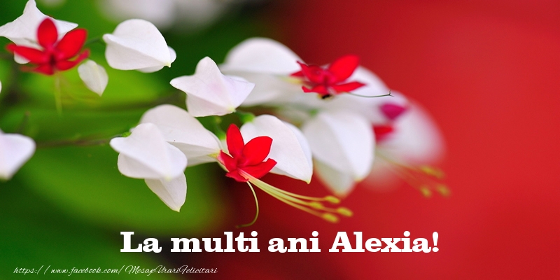 Felicitari de la multi ani - Flori | La multi ani Alexia!