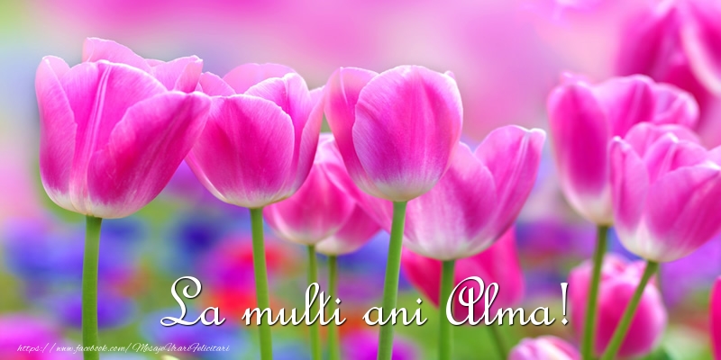 Felicitari de la multi ani - Flori & Lalele | La multi ani Alma!