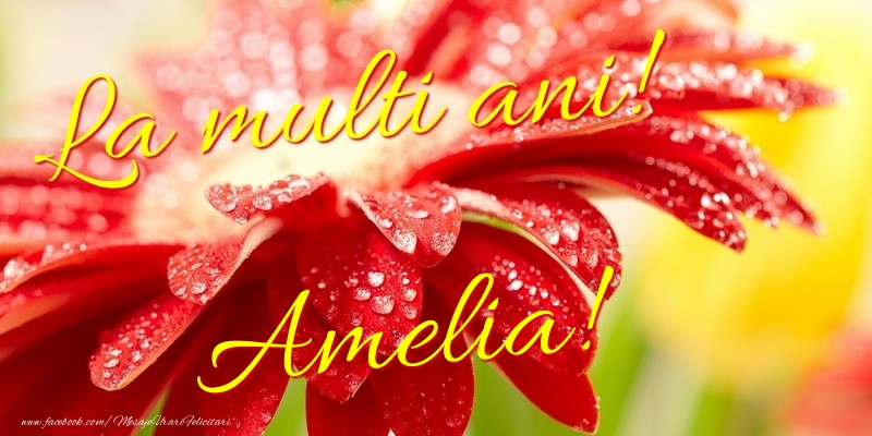 Felicitari de la multi ani - Flori | La multi ani! Amelia