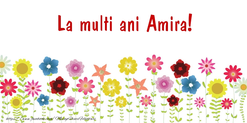 Felicitari de la multi ani - Confetti | La multi ani Amira!