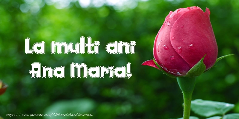Felicitari de la multi ani - Flori & Lalele | La multi ani Ana Maria!