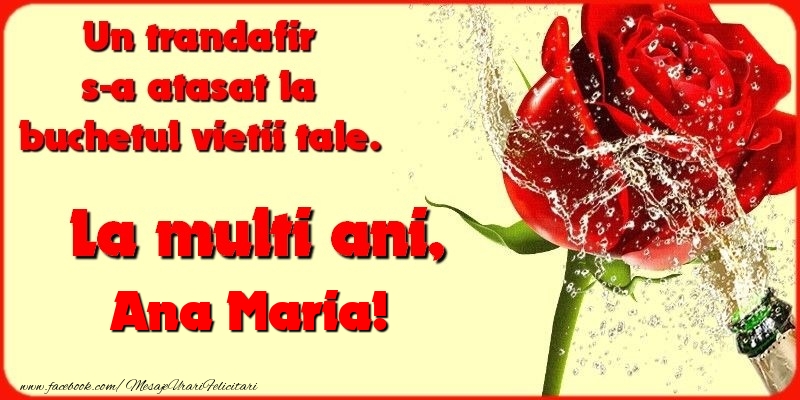 Felicitari de la multi ani - Flori & Sampanie | Un trandafir s-a atasat la buchetul vietii tale. Ana Maria