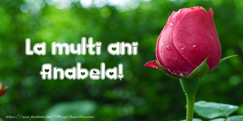 Felicitari de la multi ani - Flori & Lalele | La multi ani Anabela!