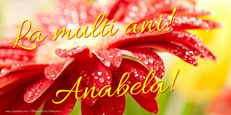 Felicitari de la multi ani - La multi ani! Anabela