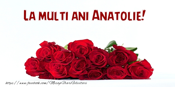 Felicitari de la multi ani - La multi ani Anatolie!