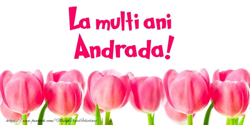Felicitari de la multi ani - Flori & Lalele | La multi ani Andrada!