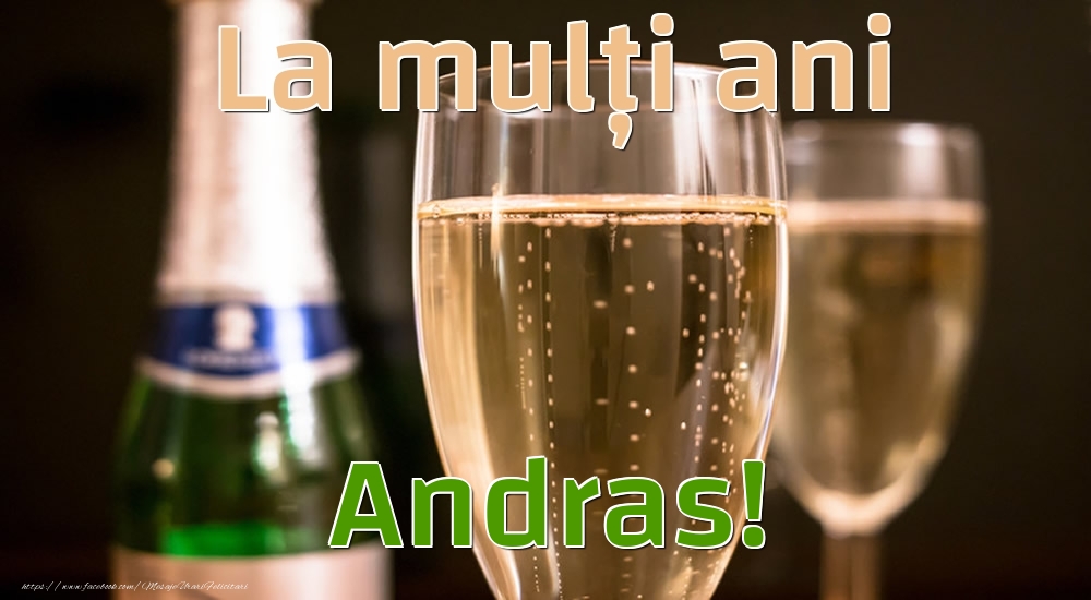 Felicitari de la multi ani - Sampanie | La mulți ani Andras!