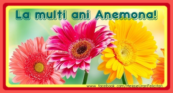 Felicitari de la multi ani - Flori | La multi ani Anemona!