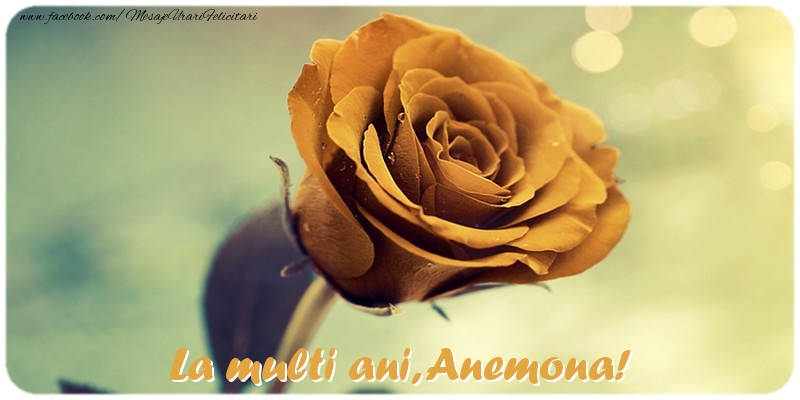 Felicitari de la multi ani - Flori & Trandafiri | La multi ani, Anemona!