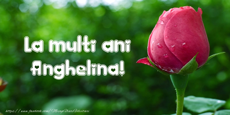 Felicitari de la multi ani - Flori & Lalele | La multi ani Anghelina!