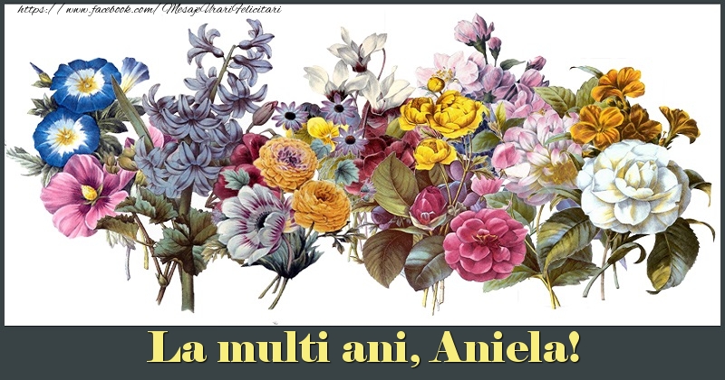 Felicitari de la multi ani - Flori | La multi ani, Aniela!