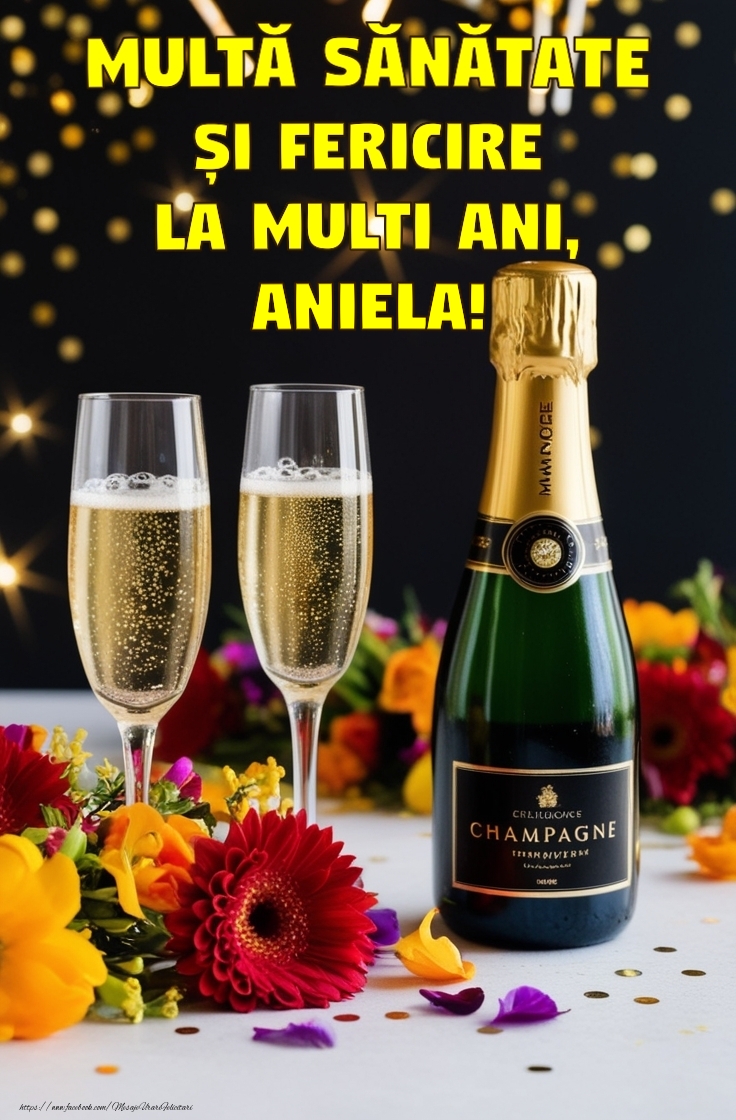 Felicitari de la multi ani - Sampanie | Felicitare personalizata cu nume sarbatorit