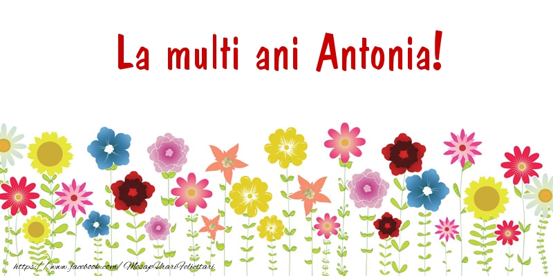 Felicitari de la multi ani - La multi ani Antonia!