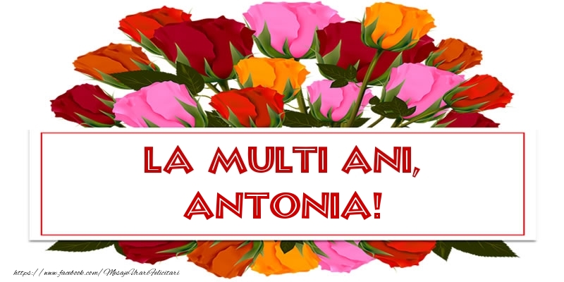 Felicitari de la multi ani - Flori & Trandafiri | La multi ani, Antonia!