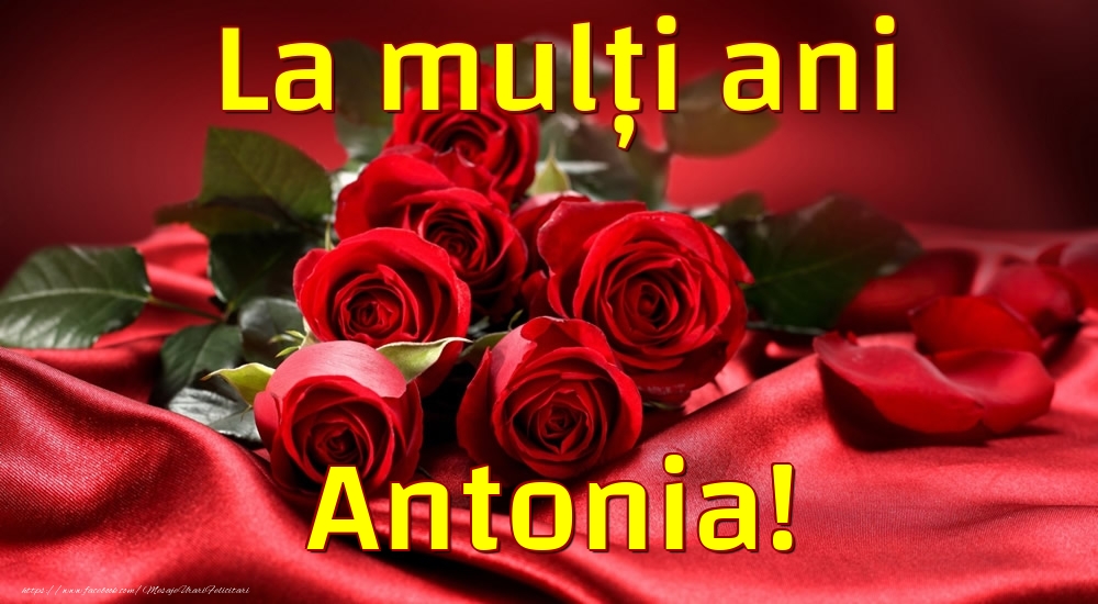 Felicitari de la multi ani - Trandafiri | La mulți ani Antonia!