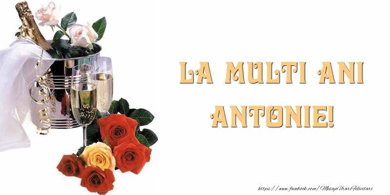 Felicitari de la multi ani - Flori & Sampanie | La multi ani Antonie!
