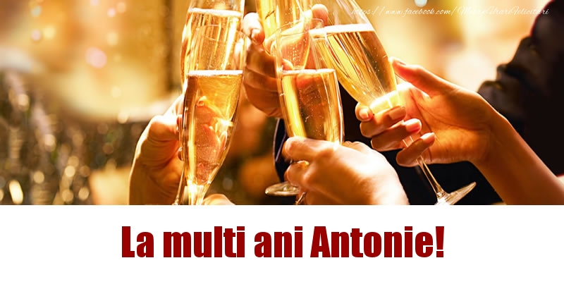 Felicitari de la multi ani - Sampanie | La multi ani Antonie!