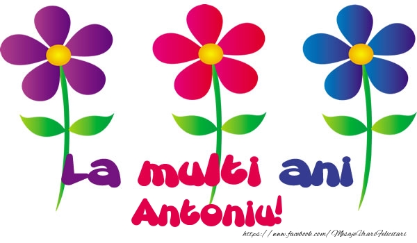 Felicitari de la multi ani - Flori | La multi ani Antoniu!