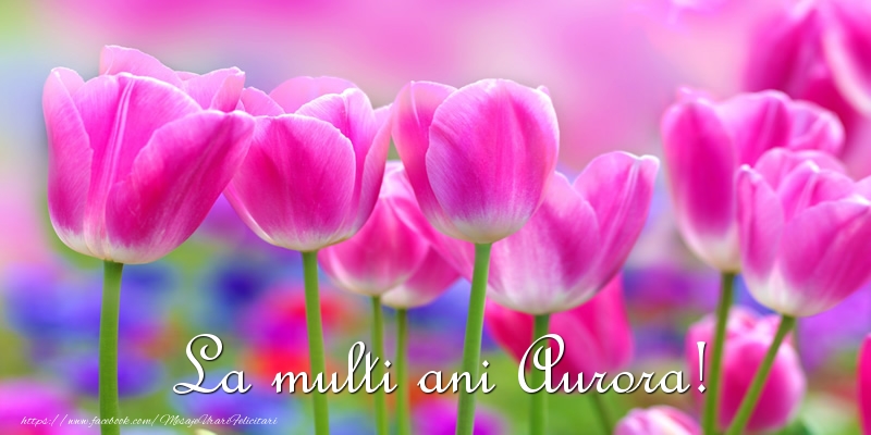 Felicitari de la multi ani - Flori & Lalele | La multi ani Aurora!