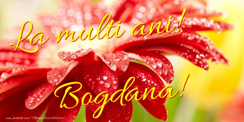 Felicitari de la multi ani - Flori | La multi ani! Bogdana