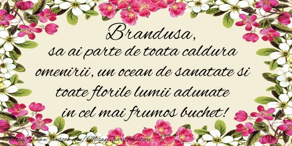 Felicitari de la multi ani -  Brandusa, sa ai parte de toata caldura omenirii, un ocean de sanatate si toate florile lumii adunate in cel mai frumos buchet!