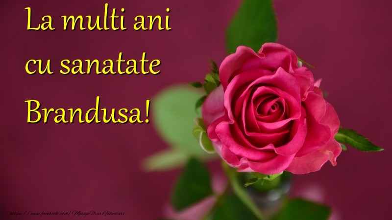 Felicitari de la multi ani - La multi ani cu sanatate Brandusa