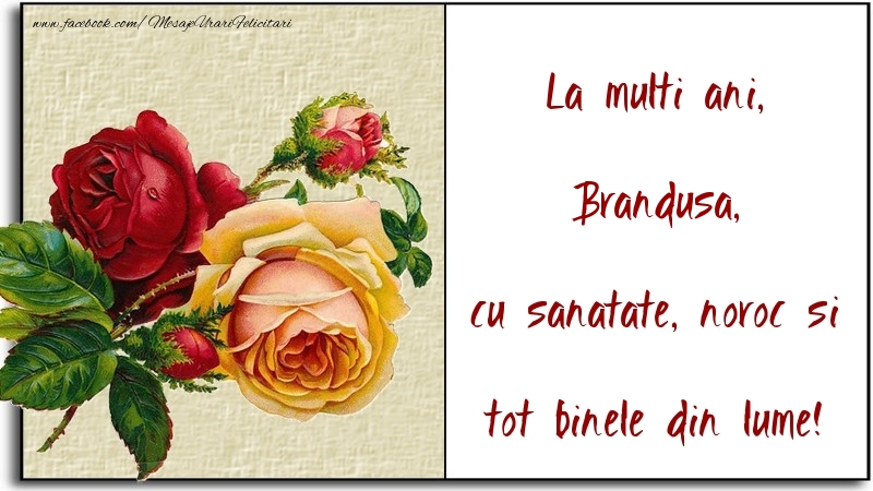 Felicitari de la multi ani - Flori | La multi ani, cu sanatate, noroc si tot binele din lume! Brandusa