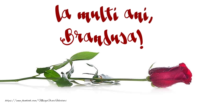 Felicitari de la multi ani - Flori & Trandafiri | La multi ani, Brandusa!