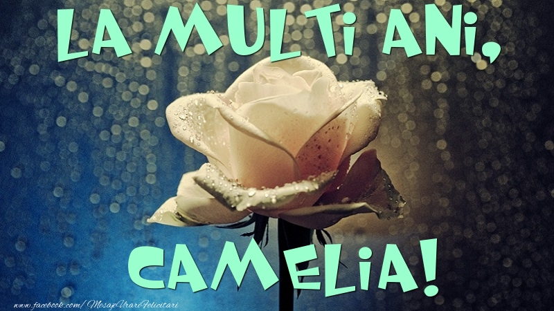 Felicitari de la multi ani - Flori & Trandafiri | La multi ani, Camelia