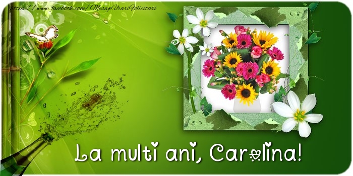 Felicitari de la multi ani - Flori & Sampanie & 1 Poza & Ramă Foto | La multi ani Carolina
