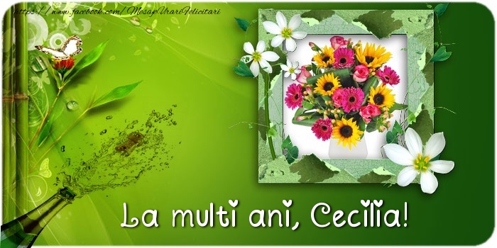 Felicitari de la multi ani - Flori & Sampanie & 1 Poza & Ramă Foto | La multi ani Cecilia