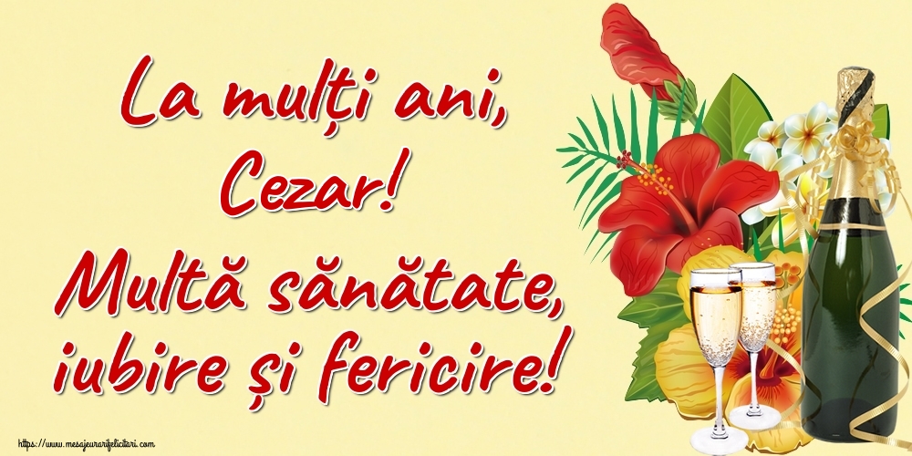 Felicitari de la multi ani - Sampanie | La mulți ani, Cezar! Multă sănătate, iubire și fericire!