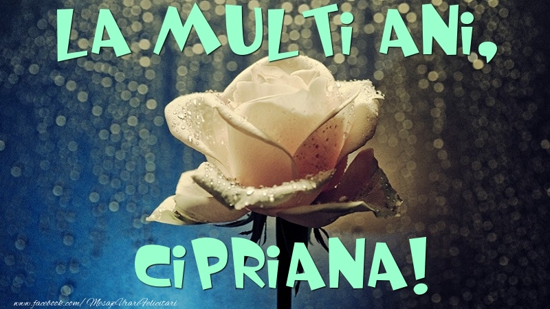 Felicitari de la multi ani - Flori & Trandafiri | La multi ani, Cipriana