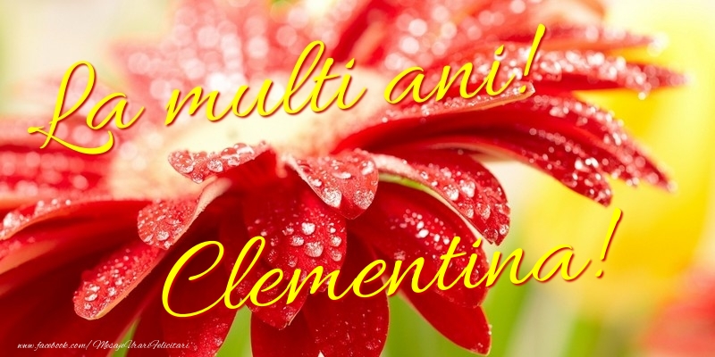 Felicitari de la multi ani - La multi ani! Clementina