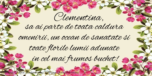 Felicitari de la multi ani -  Clementina, sa ai parte de toata caldura omenirii, un ocean de sanatate si toate florile lumii adunate in cel mai frumos buchet!