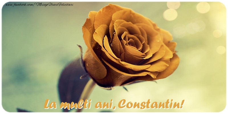 Felicitari de la multi ani - Flori & Trandafiri | La multi ani, Constantin!