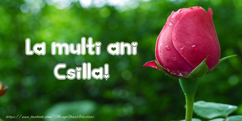 Felicitari de la multi ani - Flori & Lalele | La multi ani Csilla!
