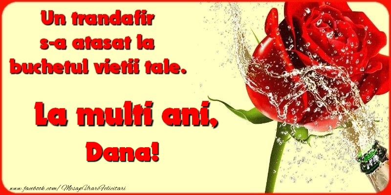 Felicitari de la multi ani - Flori & Sampanie | Un trandafir s-a atasat la buchetul vietii tale. Dana