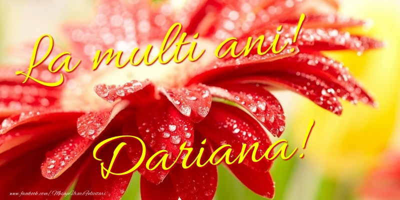 Felicitari de la multi ani - La multi ani! Dariana