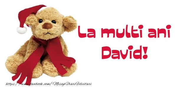 Felicitari de la multi ani - La multi ani David!