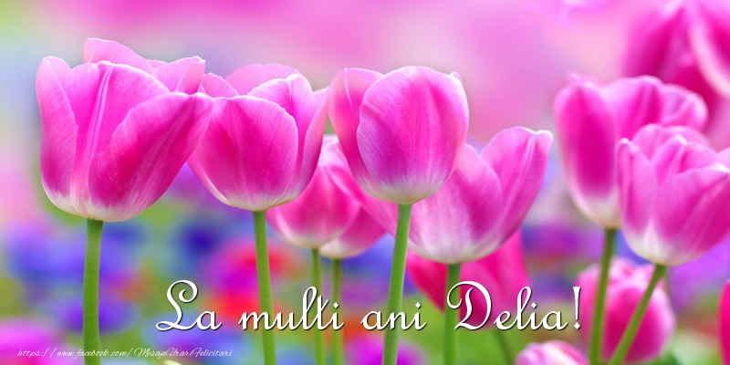 Felicitari de la multi ani - Flori & Lalele | La multi ani Delia!