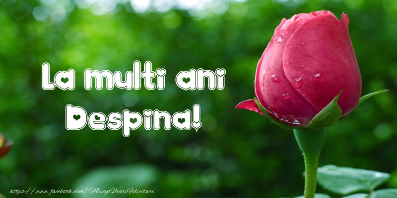 Felicitari de la multi ani - Flori & Lalele | La multi ani Despina!