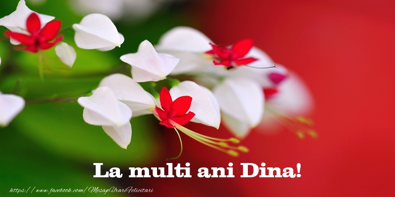 Felicitari de la multi ani - Flori | La multi ani Dina!