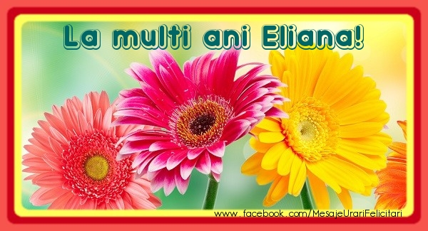 Felicitari de la multi ani - La multi ani Eliana!