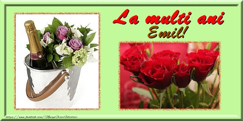 Felicitari de la multi ani - Flori & Trandafiri & 1 Poza & Ramă Foto | La multi ani Emil