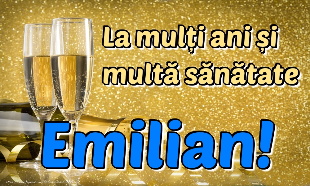 Felicitari de la multi ani - Sampanie | La mulți ani multă sănătate Emilian!